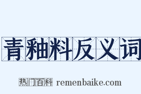 青釉料反义词是什么意思的图片